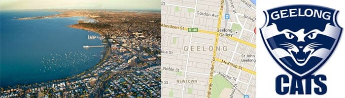 computer repairs geelong