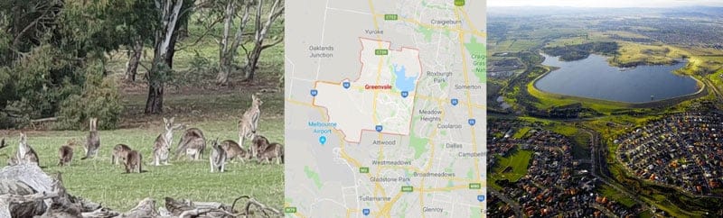 Computer Repairs Greenvale