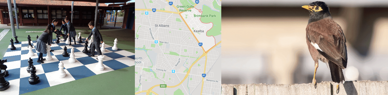 Computer Repairs Kealba