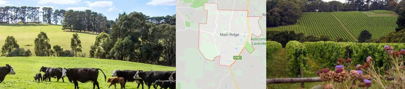 Computer Repairs Main Ridge