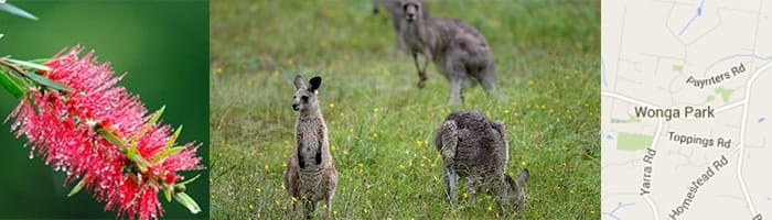 Computer Repairs Wonga Park