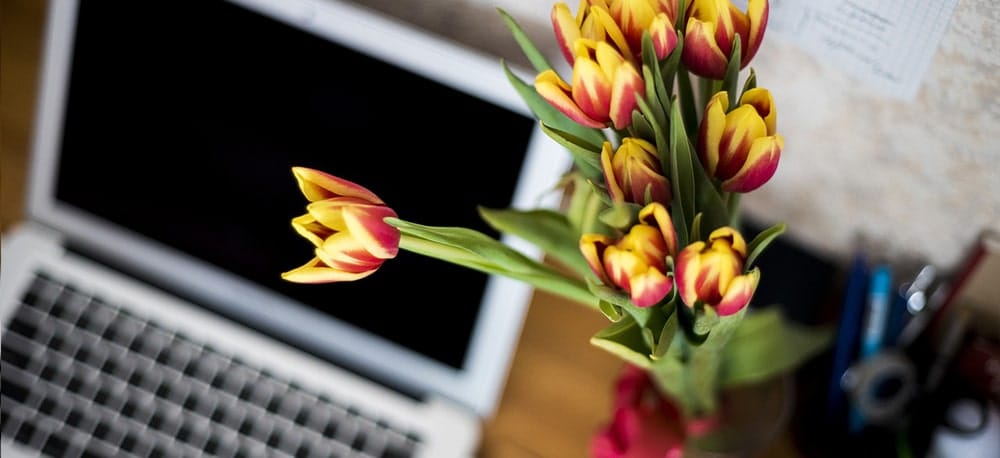 spring-clean your PC