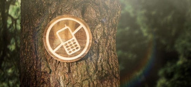 How a digital detox could improve your child