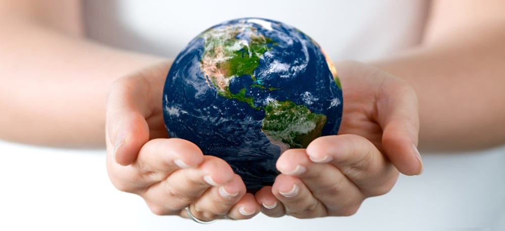 20 Environmental Charities You Should Knоw About