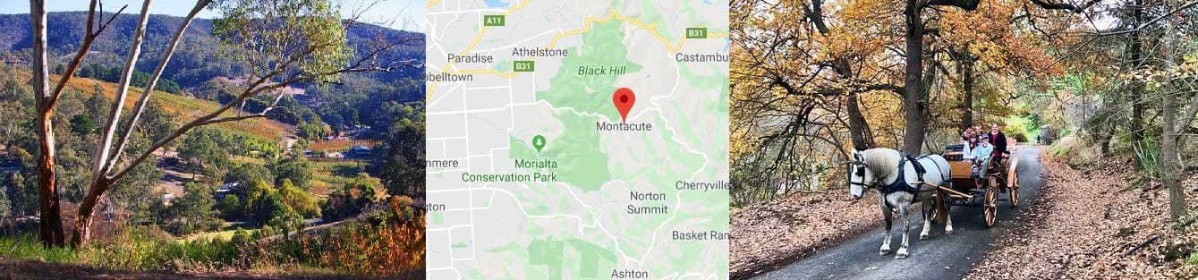 Computer Repairs Montacute Computer Repairs Montacute