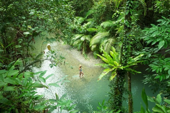 Daintree National Park
