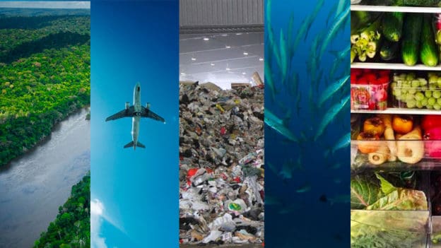 Top 5 of the Most Exciting Green Technology Pioneers of 2021