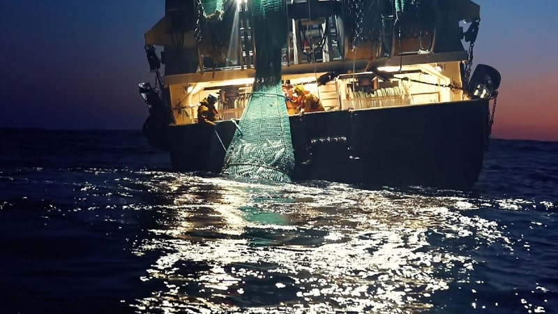 Seaspiracy Netflix Documentary Accused Of Misinterpretation By Participants